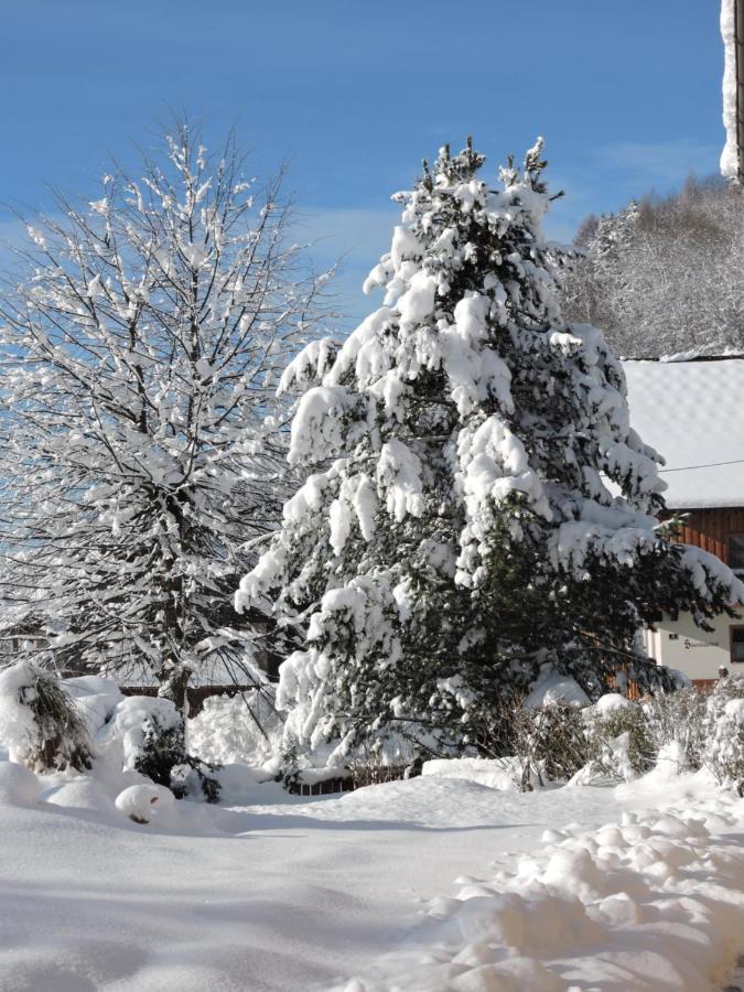 Haus Kremser Bad Kleinkirchheim Luaran gambar