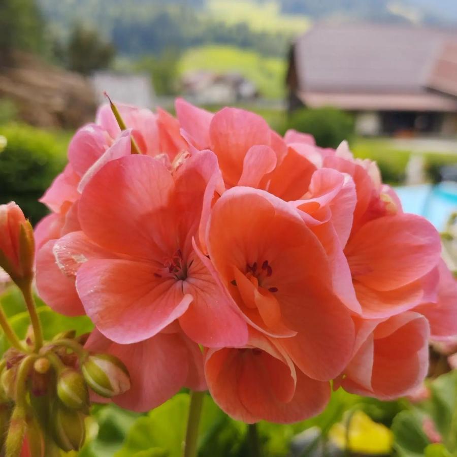 Haus Kremser Bad Kleinkirchheim Luaran gambar